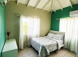 Shellyann's Gracious Allure