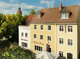 Goldener Engel /Pension，位于格尔利茨的酒店