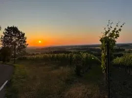 Panorama 180