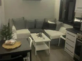 Zarko Home