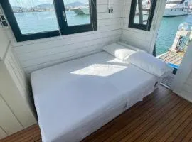 Houseboat BluSeaDream Dolphin 2