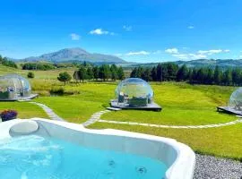 明加里公园旅馆