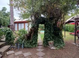 Cabaña acogedora en Olmué con piscina y parrilla