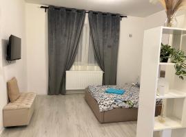 Bella Home Residence，位于Roşu的酒店