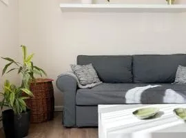 Sigulda center apartments