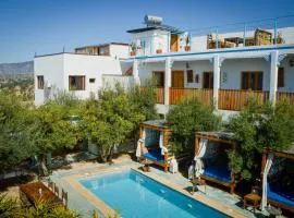 Single fin taghazout surf & stay