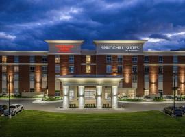 SpringHill Suites by Marriott Canfield，位于Canfield的酒店