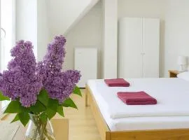 Penzion Zacha se sklípkem