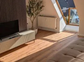 Komplett renovierte Design-Wohnung in Stadtnähe