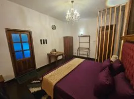 Bloomy villa