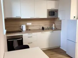 Apartmán Jiráskova - centrum Vyškova