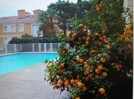 Proche de Monaco appartement devant piscine