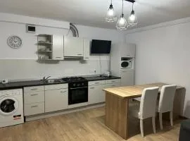 Central Apartment
