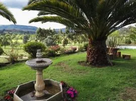 Cabaña NIDO VERDE
