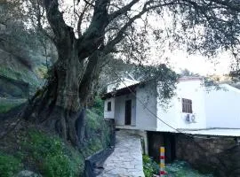 Chania Hillside 2BD Home - Nature & Comfort by ΜΡS