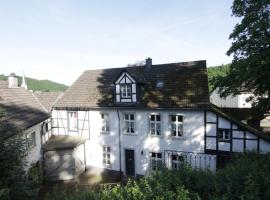 Historische Villa Herrenhaus Hellenthal，位于黑伦塔尔的酒店