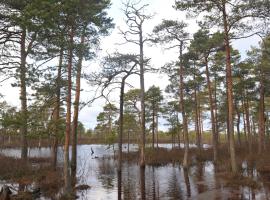 Suurejõe Holiday House，位于Suurejõe的酒店