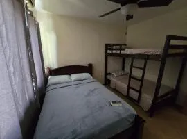 Pura vista