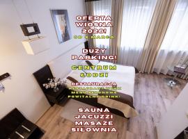 Hotel Borowiecki，位于罗兹的酒店