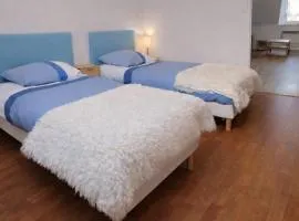 Functional and convenient apartment avec wifi
