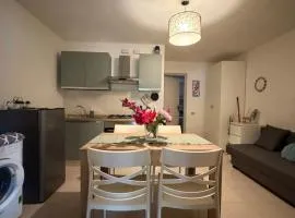 CASA ELISA