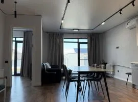 Mountain view modern house