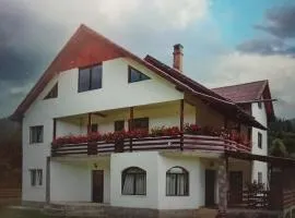 Pensiunea Casa Matei