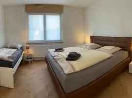Monteurwohnung Ferienwohnung mit Terrasse