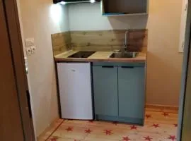 Grande chambre lumineuse avec cuisine,sdb et accès a un jolie jardin