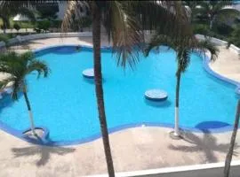 Conjunto del piñón