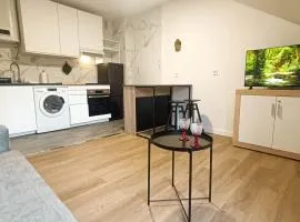 Ático Moderno en Langreo