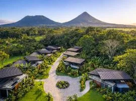 Noah's Forest by Tifakara