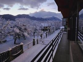 Hotel Braan Draculaa，位于布朗的酒店