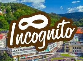 Hotel Incognito