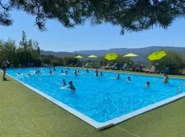 ZEcamping 4 étoiles animaux acceptés animations piscine chauffée