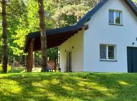 Warmia Forest House - Pod koronami drzew