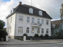 Patriciavilla tæt på centrum，位于哈泽斯莱乌的酒店