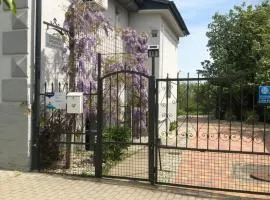 Dombi Porta