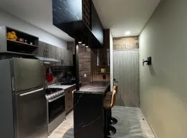 VICA condominium just 12 minutes from downtown