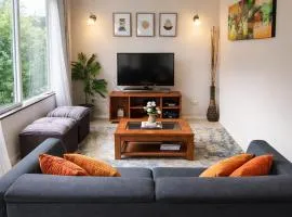 Casa condominio Pucón, piscina