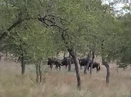 Paradise Camp Game Lodge，位于Grootfontein的酒店