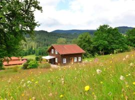 holiday house in the Bavarian Forest，位于德拉塞尔斯里德的滑雪度假村