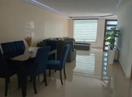 Modern and Cozy Home