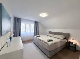 Trewia 8 - Modern Apartment Vaduz Center - free Parking