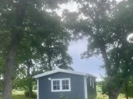 Cozy accommodation on horse farm