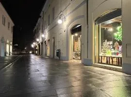Maison Cavallino