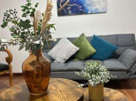 Acogedor y céntrico Departamento，位于莱昂的酒店