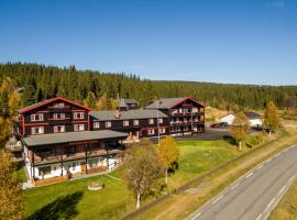 Hovda Fjellhotell，位于Tisleidalen的酒店