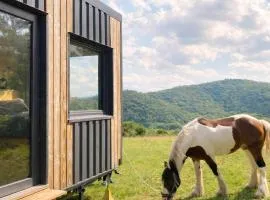 Homnest - Bosquet des Domes n2 - Puys a cheval
