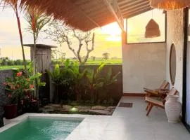 Daha Space Villa